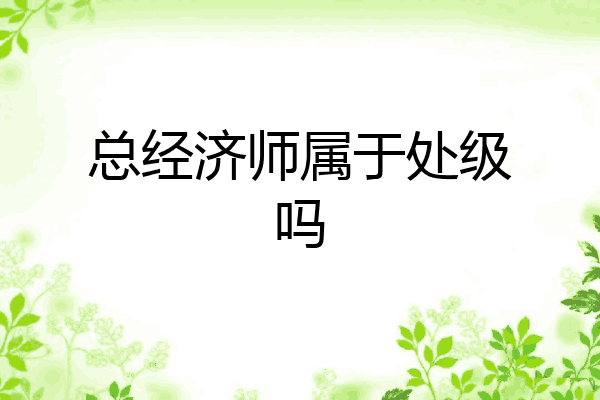 总经济师属于处级吗
