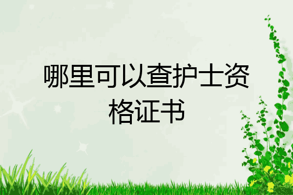 哪里可以查护士资格证书