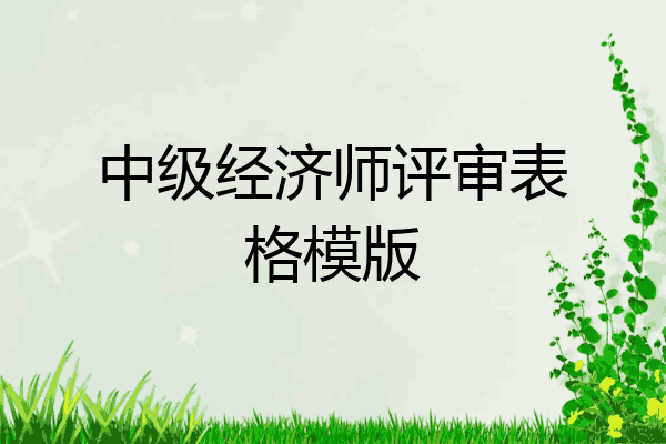 中级经济师评审表格模版
