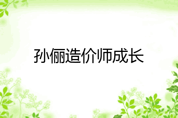 孙俪造价师成长