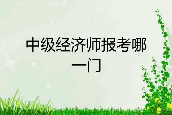 中级经济师报考哪一门