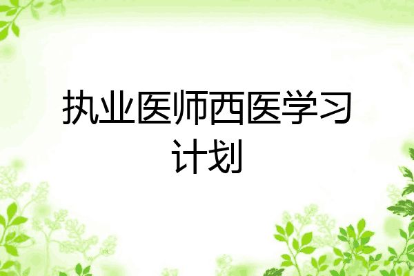 执业医师西医学习计划