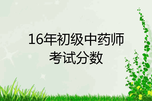 16年初级中药师考试分数