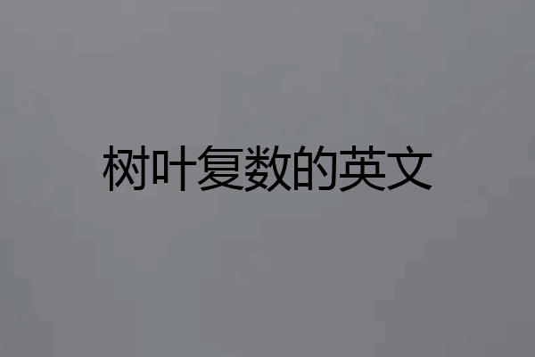 树叶复数的英文