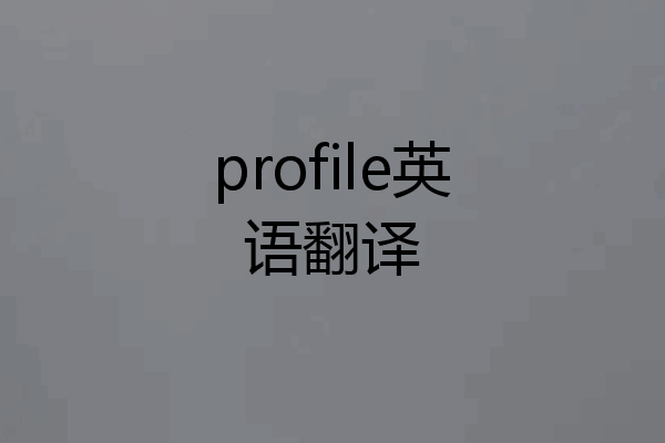 profile英语翻译