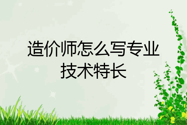 造价师怎么写专业技术特长