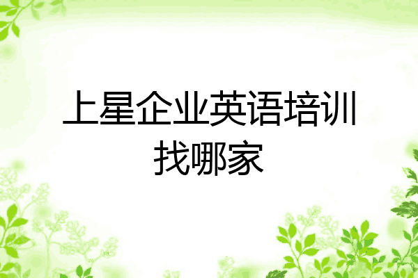上星企业英语培训找哪家