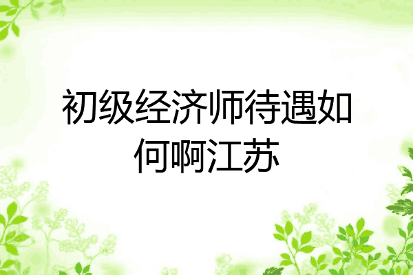 初级经济师待遇如何啊江苏