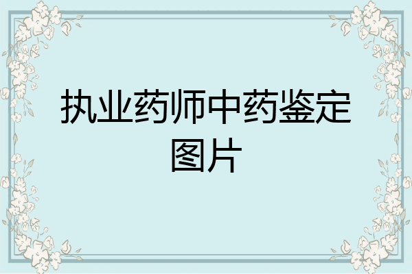 执业药师中药鉴定图片