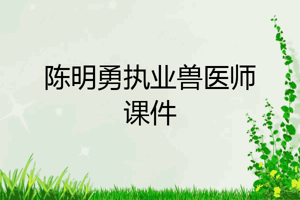 陈明勇执业兽医师课件