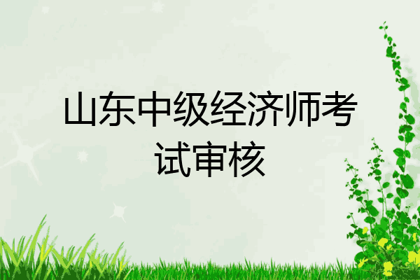 山东中级经济师考试审核