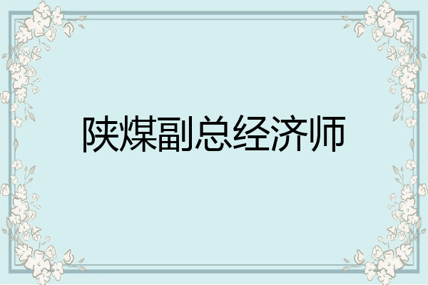 陕煤副总经济师