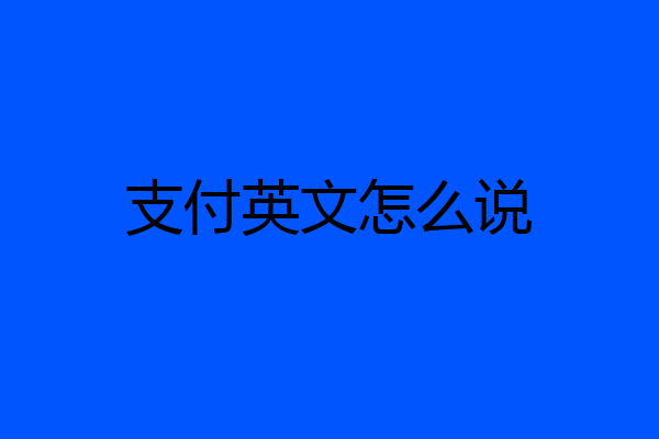 支付英文怎么说