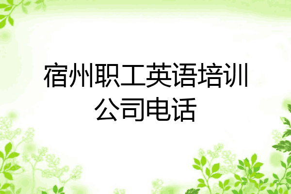 宿州职工英语培训公司电话