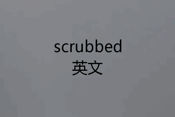 scrubbed英文