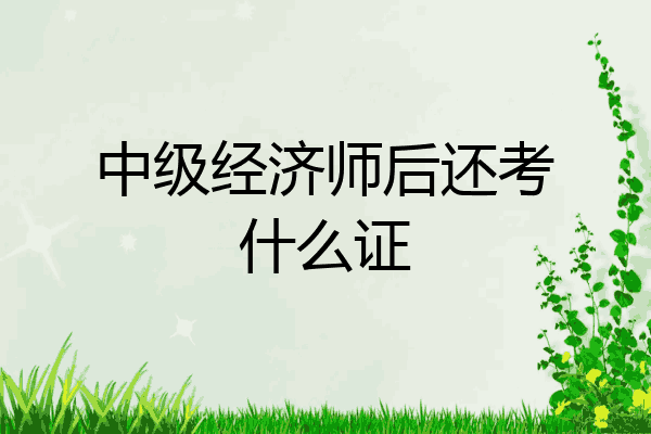 中级经济师后还考什么证