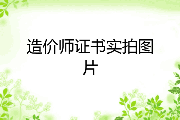 造价师证书实拍图片