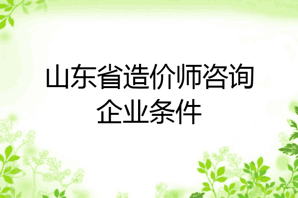 山东省造价师咨询企业条件