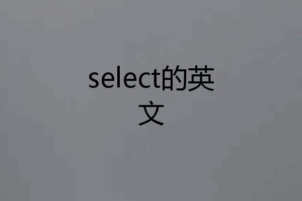 select的英文