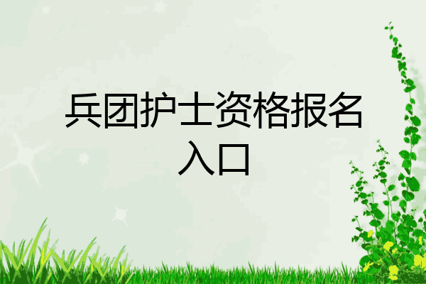 兵团护士资格报名入口
