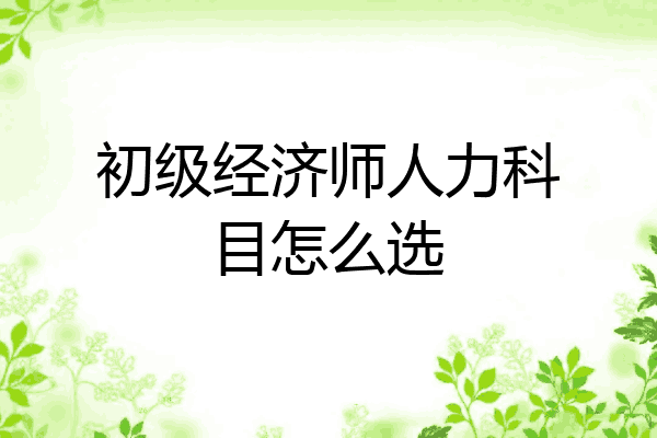 初级经济师人力科目怎么选