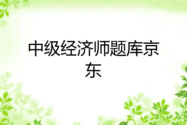 中级经济师题库京东