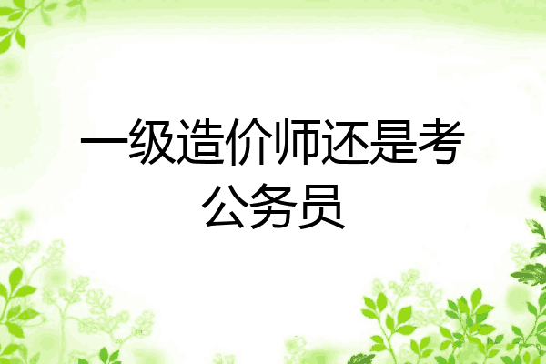 一级造价师还是考公务员