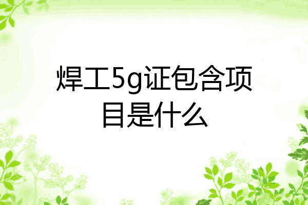 焊工5g证包含项目是什么