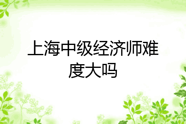上海中级经济师难度大吗