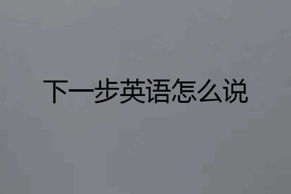 下一步英语怎么说