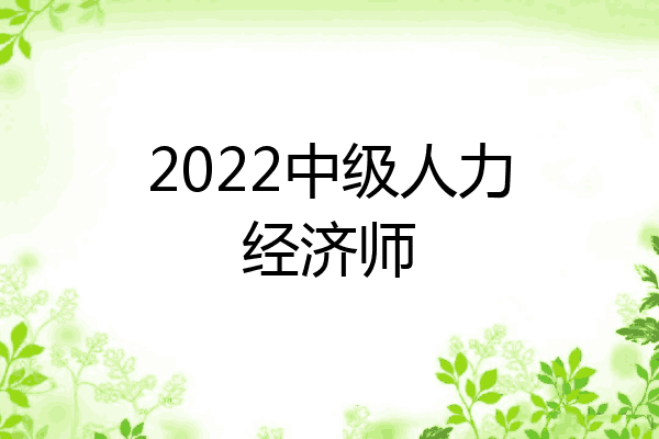 2022中级人力经济师
