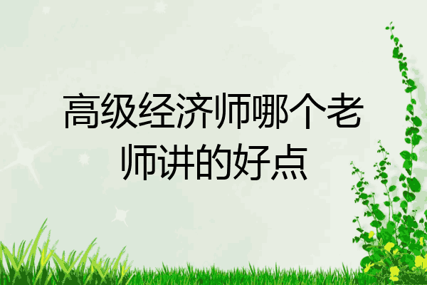 高级经济师哪个老师讲的好点