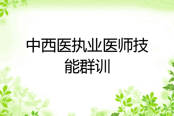 中西医执业医师技能群训