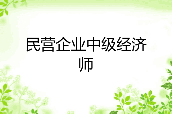 民营企业中级经济师