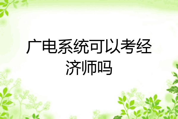广电系统可以考经济师吗