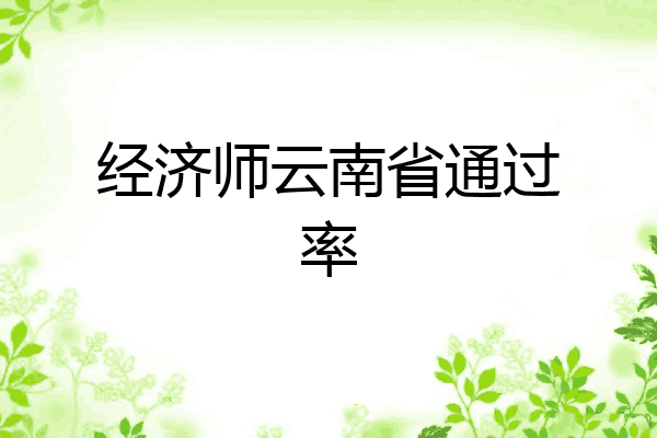 经济师云南省通过率