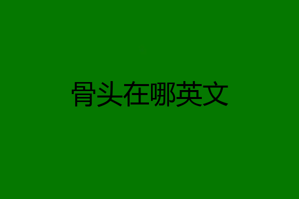 骨头在哪英文