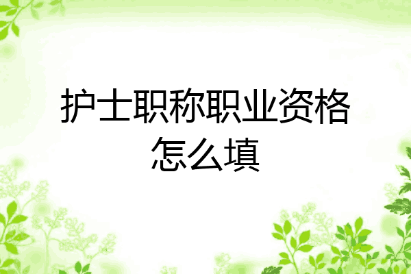 护士职称职业资格怎么填