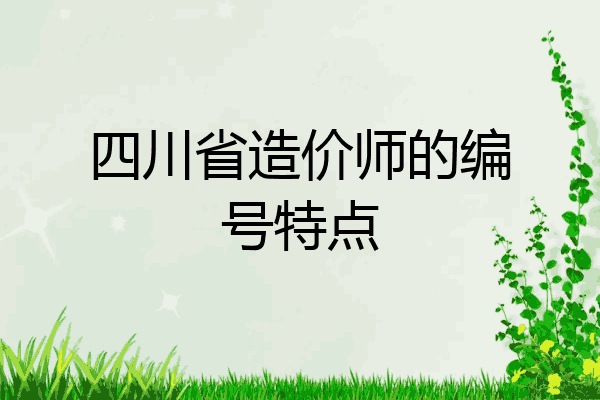 四川省造价师的编号特点