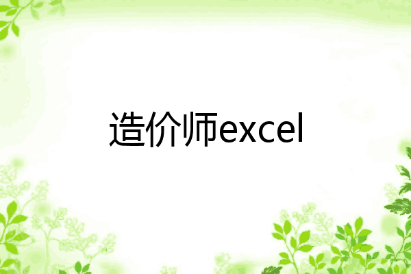 造价师excel
