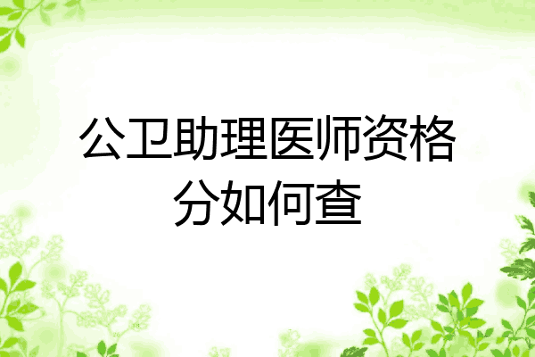 公卫助理医师资格分如何查