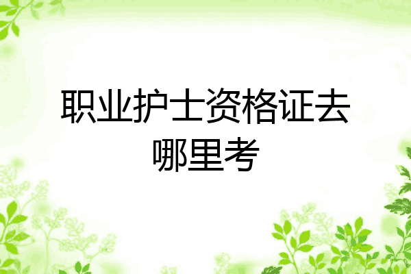 职业护士资格证去哪里考