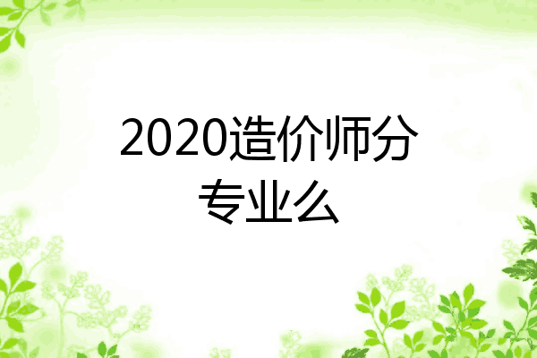 2020造价师分专业么