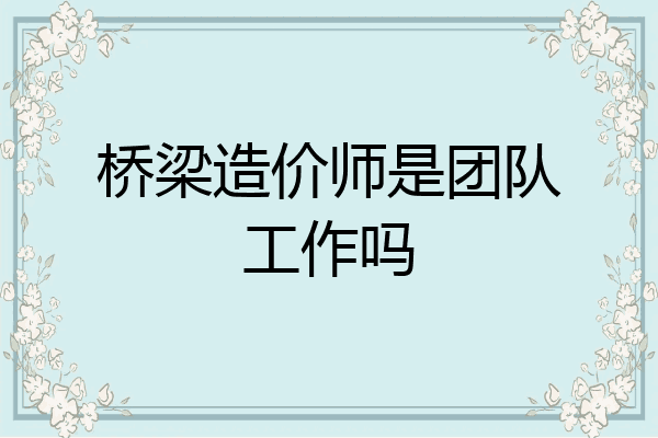 桥梁造价师是团队工作吗