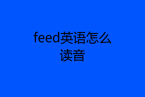 feed英语怎么读音