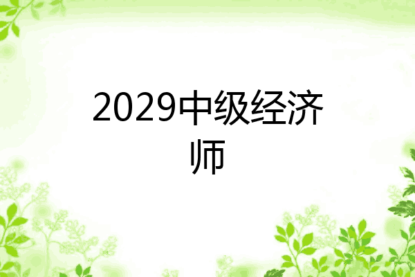 2029中级经济师