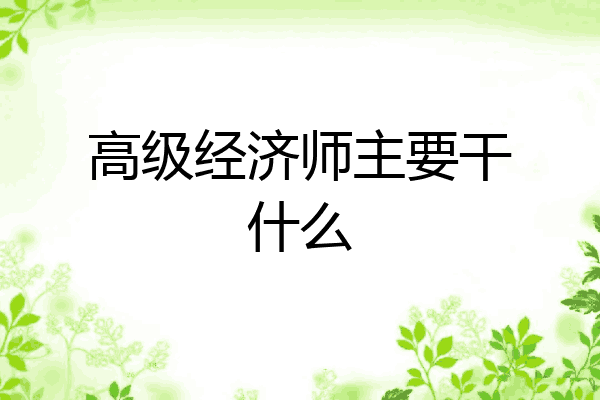 高级经济师主要干什么