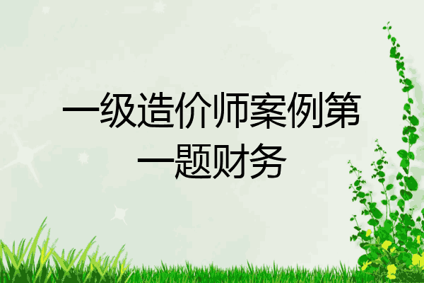 一级造价师案例第一题财务