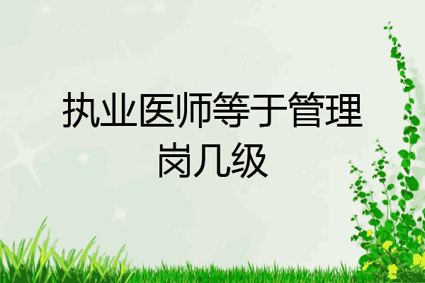 执业医师等于管理岗几级