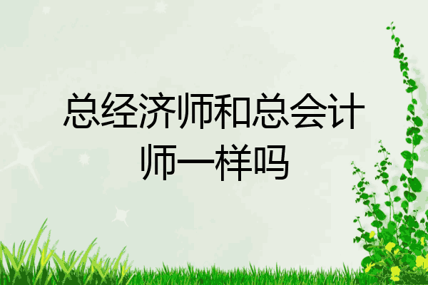 总经济师和总会计师一样吗
